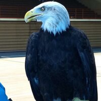 Hal Henard School (@halhenard) 's Twitter Profile