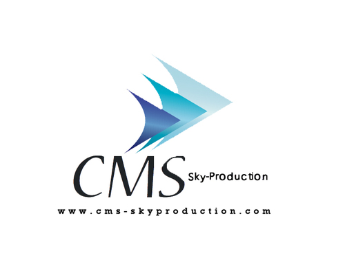 video production, web design, photography, company branding, web hosting and maintenance, media training!