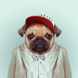 Never fear, I is here. Master of disaster, dividing by zero, bremst bergauf. 
Kotlin all the things! ᕕ( ᐛ )ᕗ