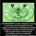 juan carlos vides  - @jucavilu26 - Twitter