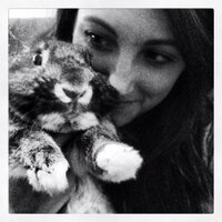 Cassy Blaylock (@cdblaylo) 's Twitter Profile