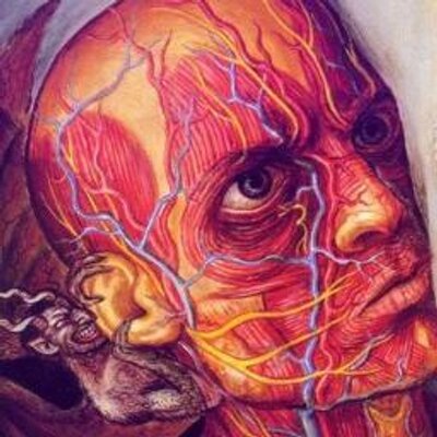 Profile Picture of Luis Carlos Muñoz (@juancaman555) on Twitter