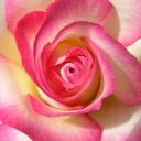 Lorraine Glass - @LorraineGlass12 - Twitter