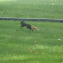 brian guthrie - @bguth3 - Twitter