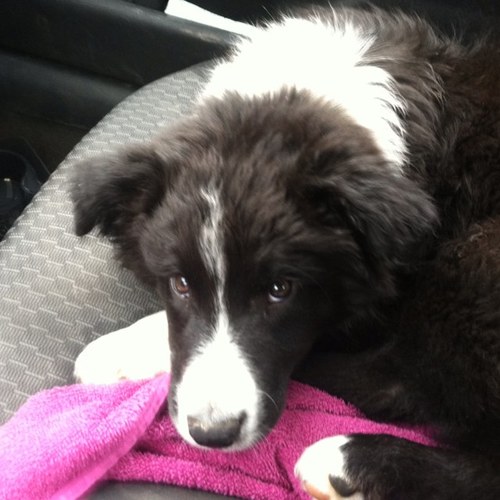 bourbon38's profile picture. 