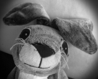 WorkingWabbit is an experimental project. Or a mysterious enigma... Great start for an excellent story. #marketing #salesenablement #bigdata