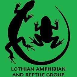 LothianARG's profile picture. LARG is a volunteer, conservation organisation dedicated to preserving amphibians and reptiles in the Lothians.