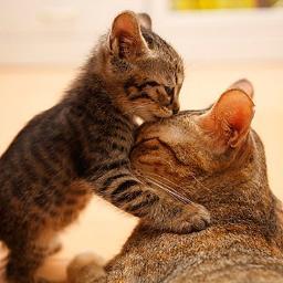 Mom tweets