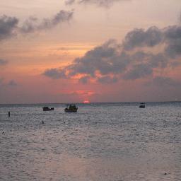 baralt4's profile picture. 