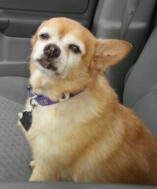 purps916kush's profile picture. JUST WIN IN
SPORTS IN
LIFE 
IN REALITY 
I own over 1.5 million in assets