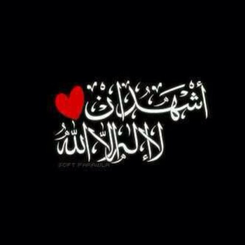 1433hS's profile picture. ابو عبدالعزيز