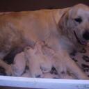 Ben forbes - @starkiller12347 - Twitter