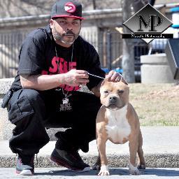 License Breeder of American Pitbull Terriers UKC,ABKC & ADBA registered our Kennel was established in 2005 and show quality dogs are all we breed!