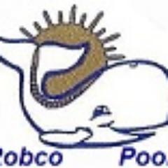 Robco Pools has been the premier pool builder in Litchfield County for 25 years.
Customer service is unparalleled!