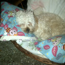 Mirna Jimenez - @mirnaj_02 - Twitter