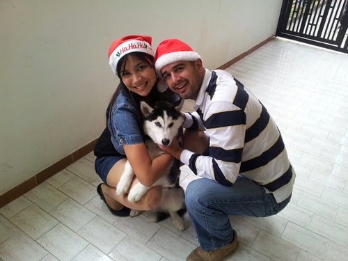 albanellyspj's profile picture. 