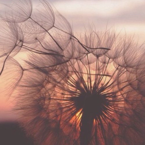 You still mean everything to me you're just not worth the fight anymore...