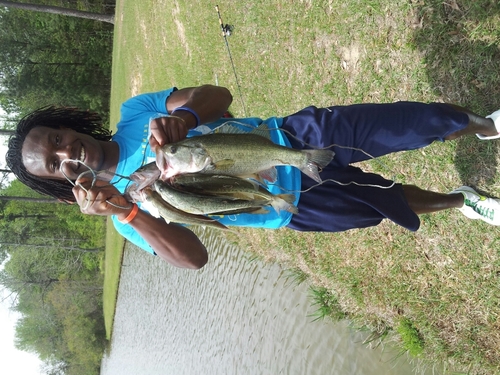 STACYTERRY11's profile picture. Better to be hated for who I am than loved for who I'm not... #FFF #faithfocusfinish #SCW #serenitycouragewisdom