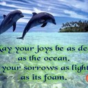 Dawn hinds - @curdawn - Twitter