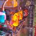 Dr Achyut Wagle (@drachyutwagle) Twitter profile photo Dr Achyut Wagle (@drachyutwagle) Twitter profile photo