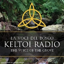 Keltoiradio