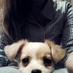 Mery (@merypons) Twitter profile photo
