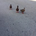 Kevin Glen McClain - @KG_McClain - Twitter