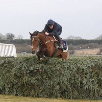 Bobby mcnally (@bobbymc1980) 's Twitter Profile Photo Bobby mcnally (@bobbymc1980) 's Twitter Profile Photo