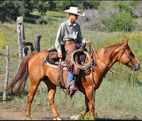 I told my Mon I wanted to be cowboy when I grew up, she said I would have to choose. those of you that know me, know what I picked. :-)