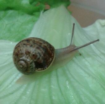 con_fernandez's profile picture. 