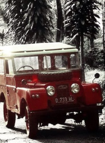 vargmont14's profile picture. 14/5/79