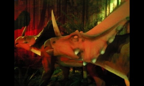 iismadi's profile picture. 