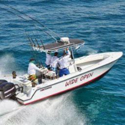 TeamWideOpen's profile picture. 