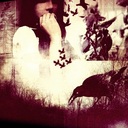 Amanda solo - @amen_solo - Twitter