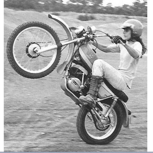 mike_rogers9's profile picture. He who dares rodders