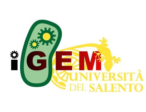 We are the Unisalento iGEM 2013 team!!! Lecce's first team participating at this competition.