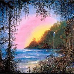 asoumaaz's profile picture. 