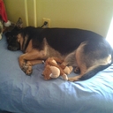 John Karle - @johnakarle - Twitter