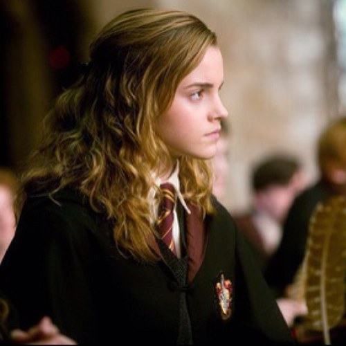 Brightest witch of her age. Best friends with @HJPBoyWhoLived and @Knight2H3. Has anyone seen Crookshanks? ((RP account.))