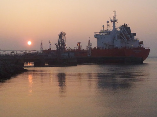 jurassique29's profile picture. 