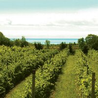 Prince Edward County (@pecontario) 's Twitter Profile Photo