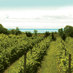 Prince Edward County (@pecontario) Twitter profile photo Prince Edward County (@pecontario) Twitter profile photo