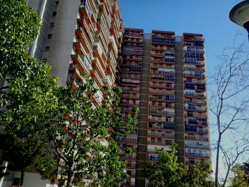 jordiALC's profile picture. -   | PULL |   -   | OTUS |   -   | PETITS |   -