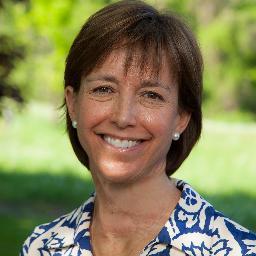 MaryMcLeanEvans's profile picture. Vice President for Presidential Initiatives, The American University of Paris