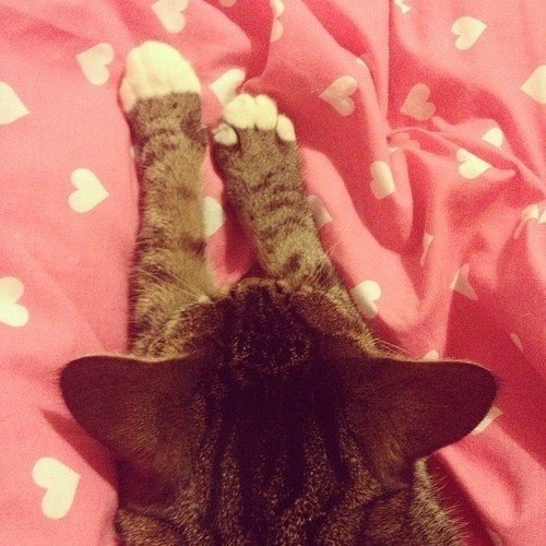 MiuKathrine's profile picture. спокойствие