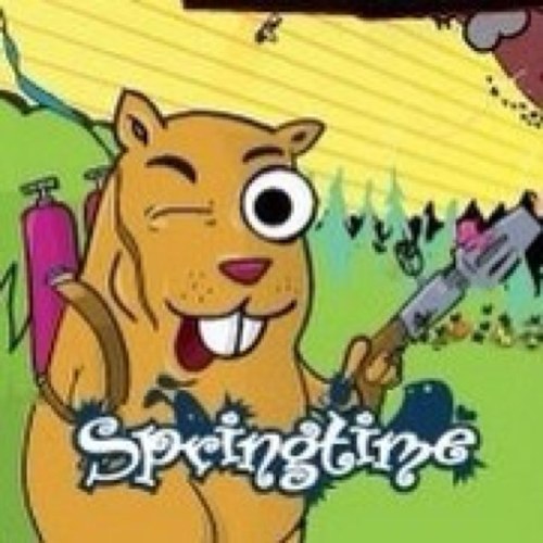 springtimenews's profile picture. Springtime, hét festival voor jongeren, viert zijn 6e verjaardag op 10 en 11 mei 2013.