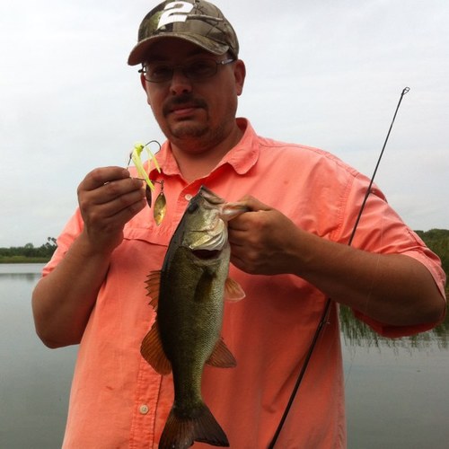 joepeta's profile picture. 