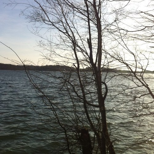 AurCl's profile picture. 