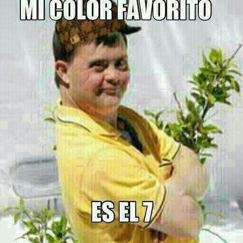 Dijo un Tonto™ oficial twitter de frases originales de tontos. El amor no lo supera todo.