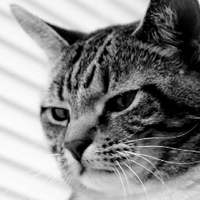 Claude_internet (@claude_internet) 's Twitter Profile